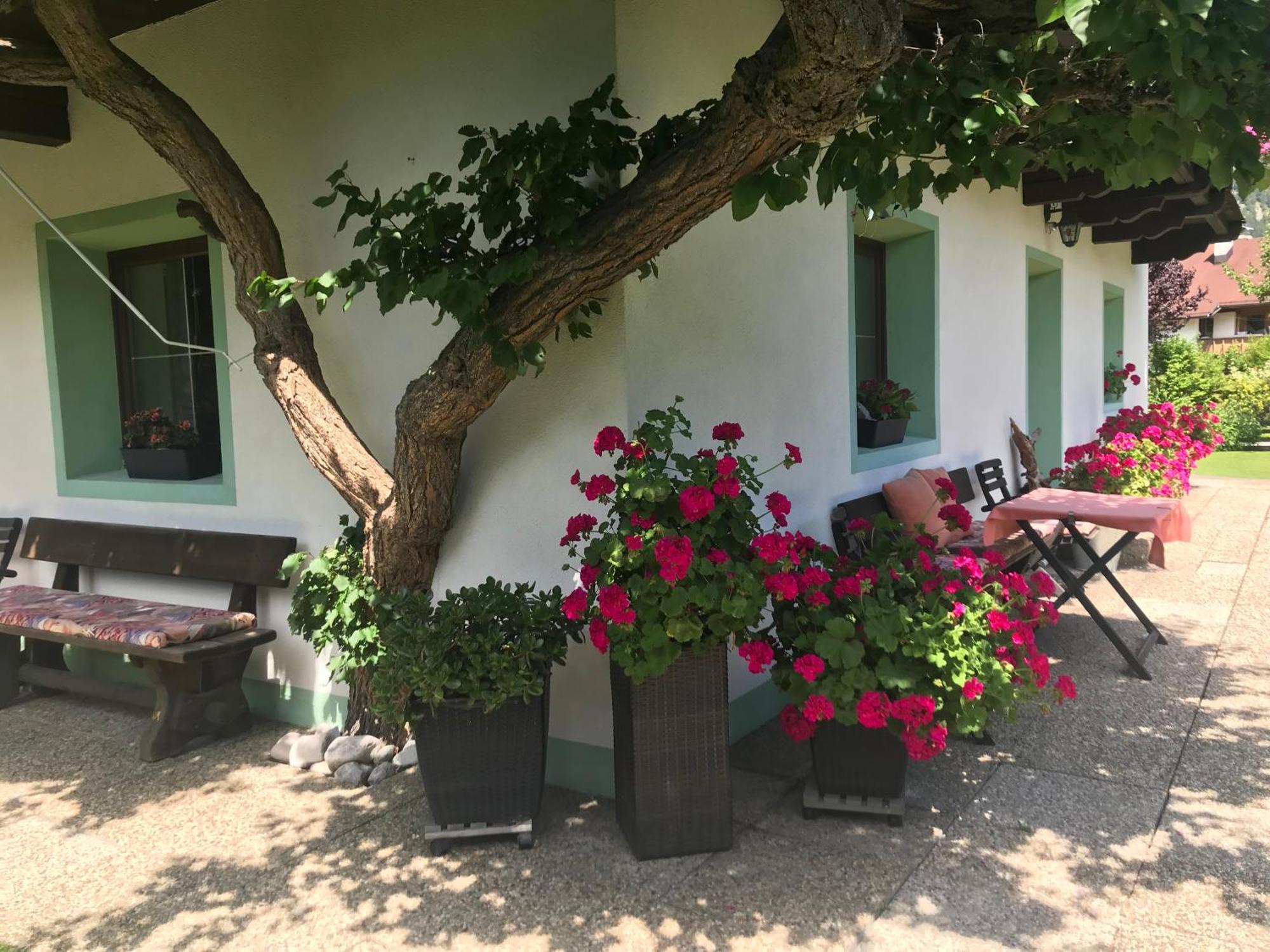 Haus Hoher Sattel Apartment Лойташ Екстериор снимка