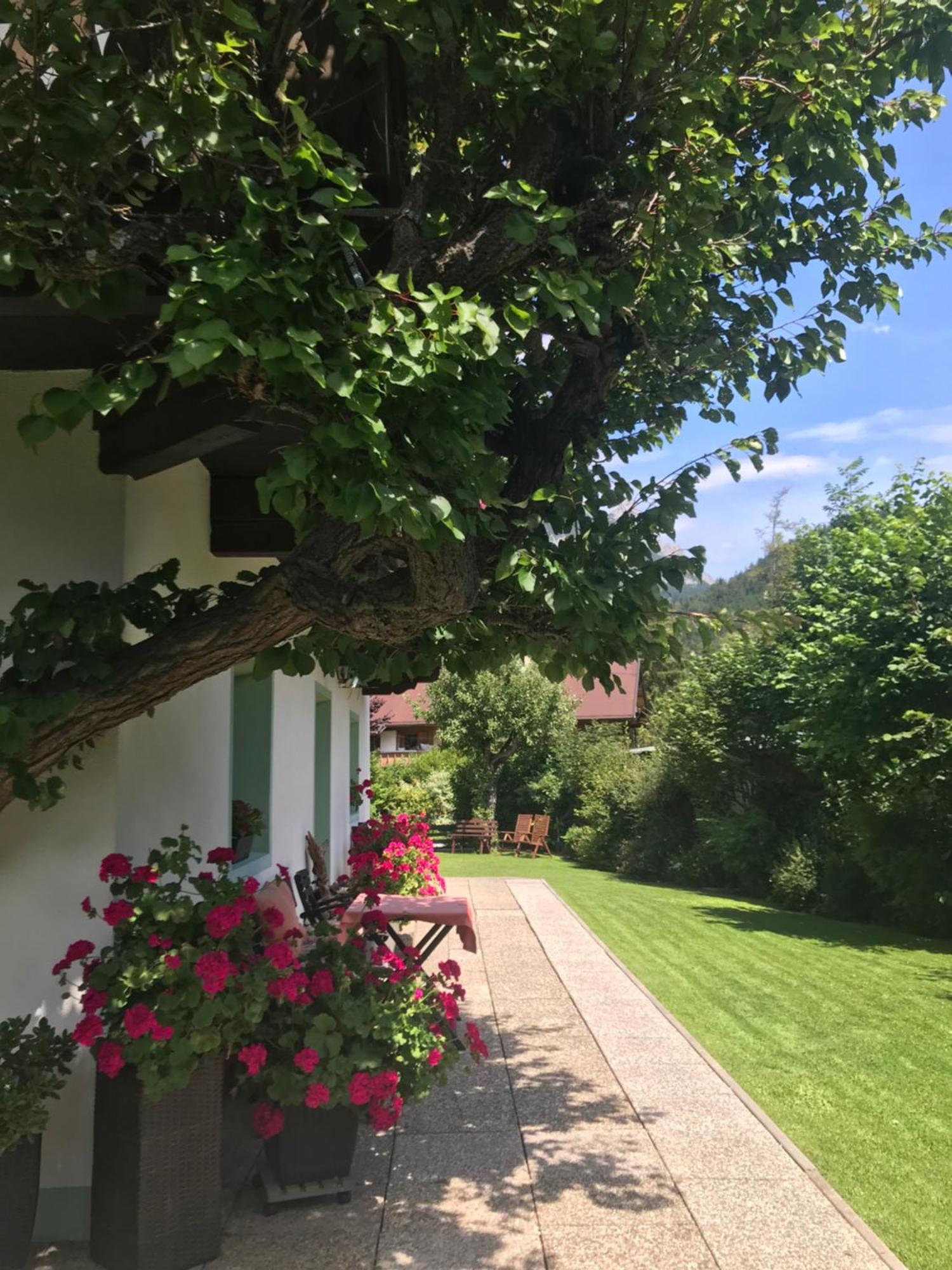 Haus Hoher Sattel Apartment Лойташ Екстериор снимка