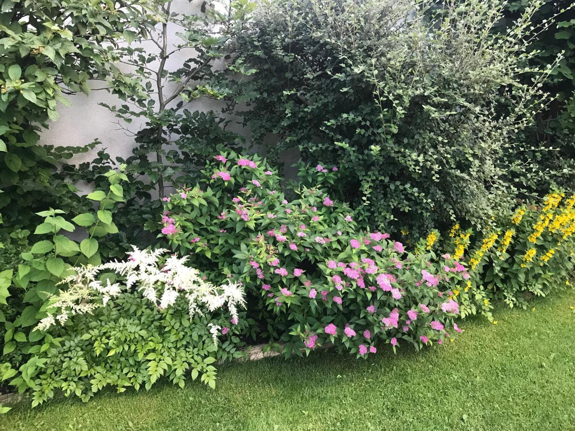 Haus Hoher Sattel Apartment Лойташ Екстериор снимка